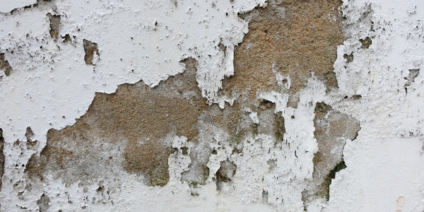 Pintar Fachadas de Empresas / Negocios / Locales Comerciales en Alcobendas · Pintura Antihumedad / Antimoho para Humedades / Moho